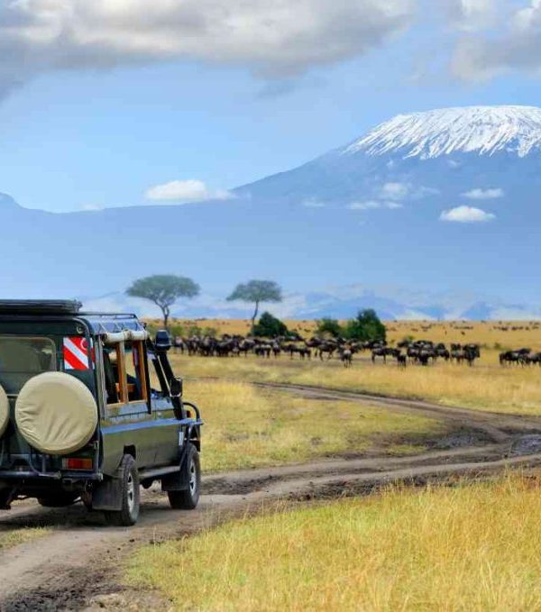 game_drive_in_amboseli-1024×679